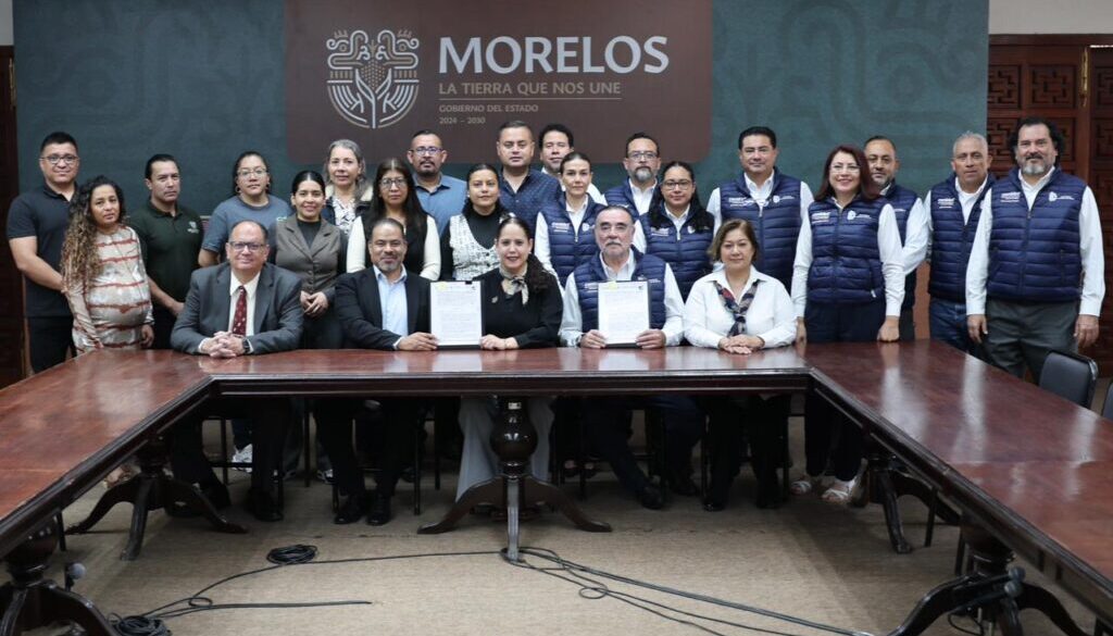 WhatsApp Image 2026-02-05 at 12.31.25 PM