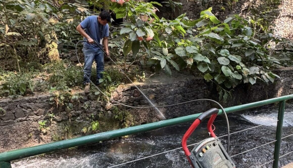 57d6769c-05ff-439b-a582-a3931048b509