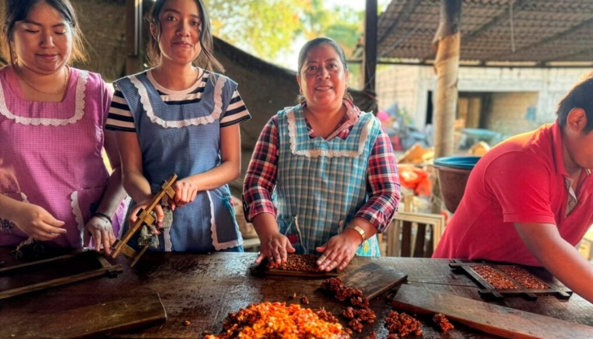 8fcc75e1-5c62-423e-8553-a615e4394adf