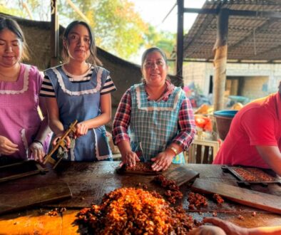 8fcc75e1-5c62-423e-8553-a615e4394adf