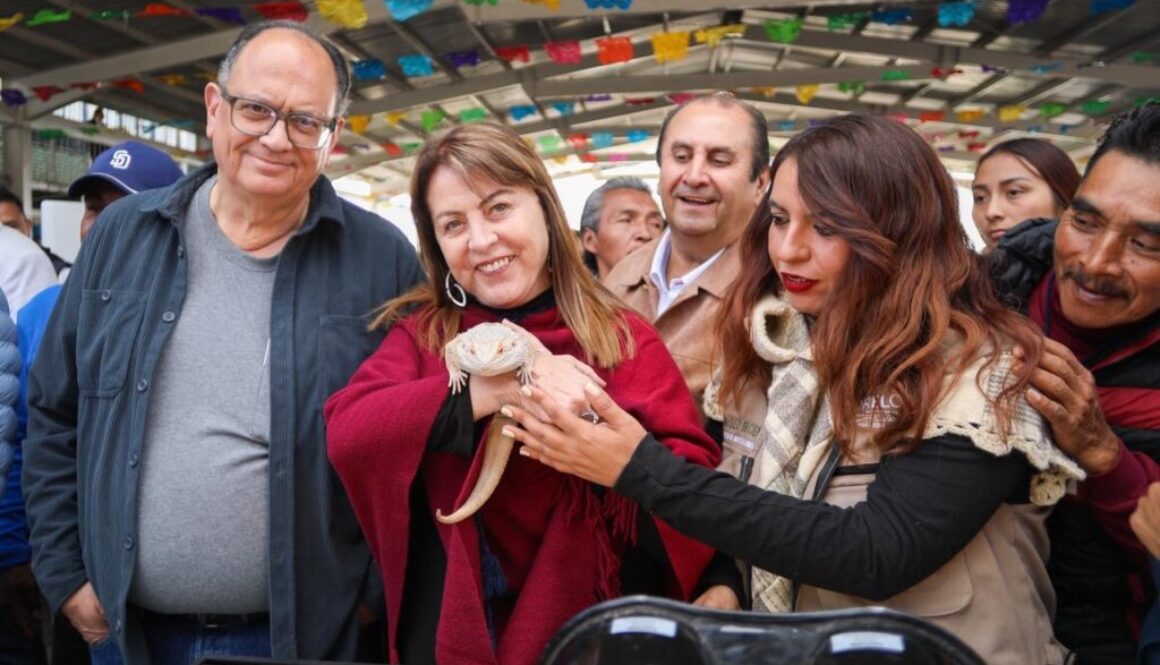 8bca1058-6495-40c5-9006-6bd3fecb5845