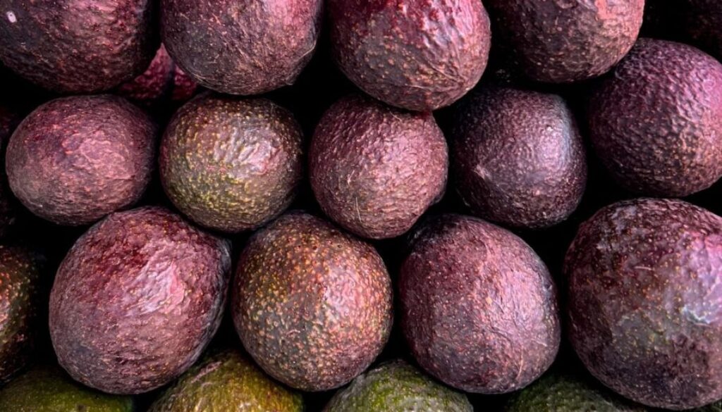 31b16660-6e44-4567-bc87-06c32bb3985d