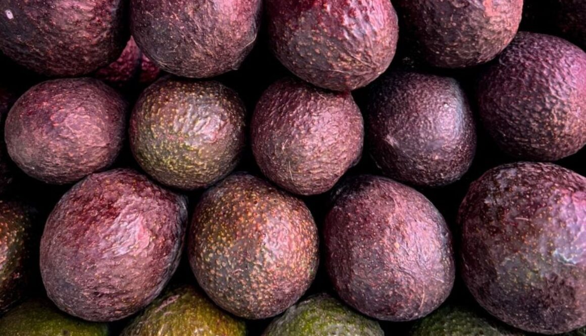 31b16660-6e44-4567-bc87-06c32bb3985d