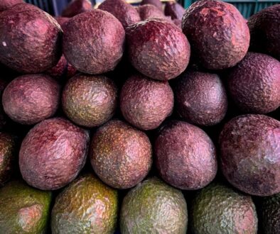 31b16660-6e44-4567-bc87-06c32bb3985d