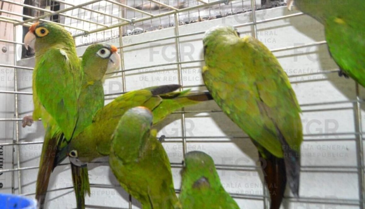 WhatsApp Image 2026-02-07 at 1.24.46 PM