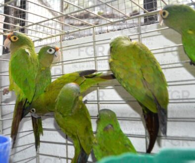 WhatsApp Image 2026-02-07 at 1.24.46 PM