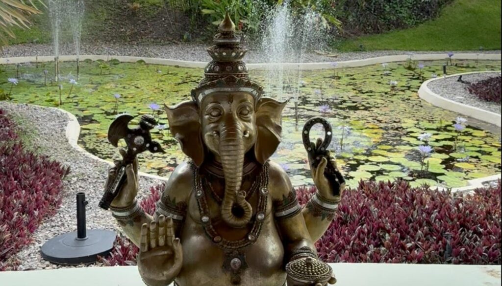 b5709667-ccf0-4935-8ce3-f4bd29a25e96