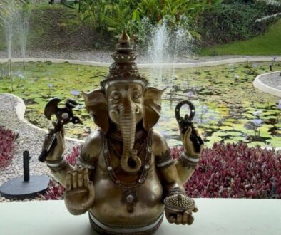 b5709667-ccf0-4935-8ce3-f4bd29a25e96