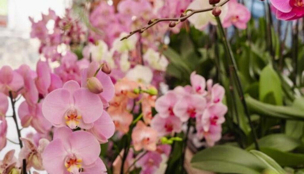 1900ff91-e83e-4da3-ba7f-dca34a9cacd9