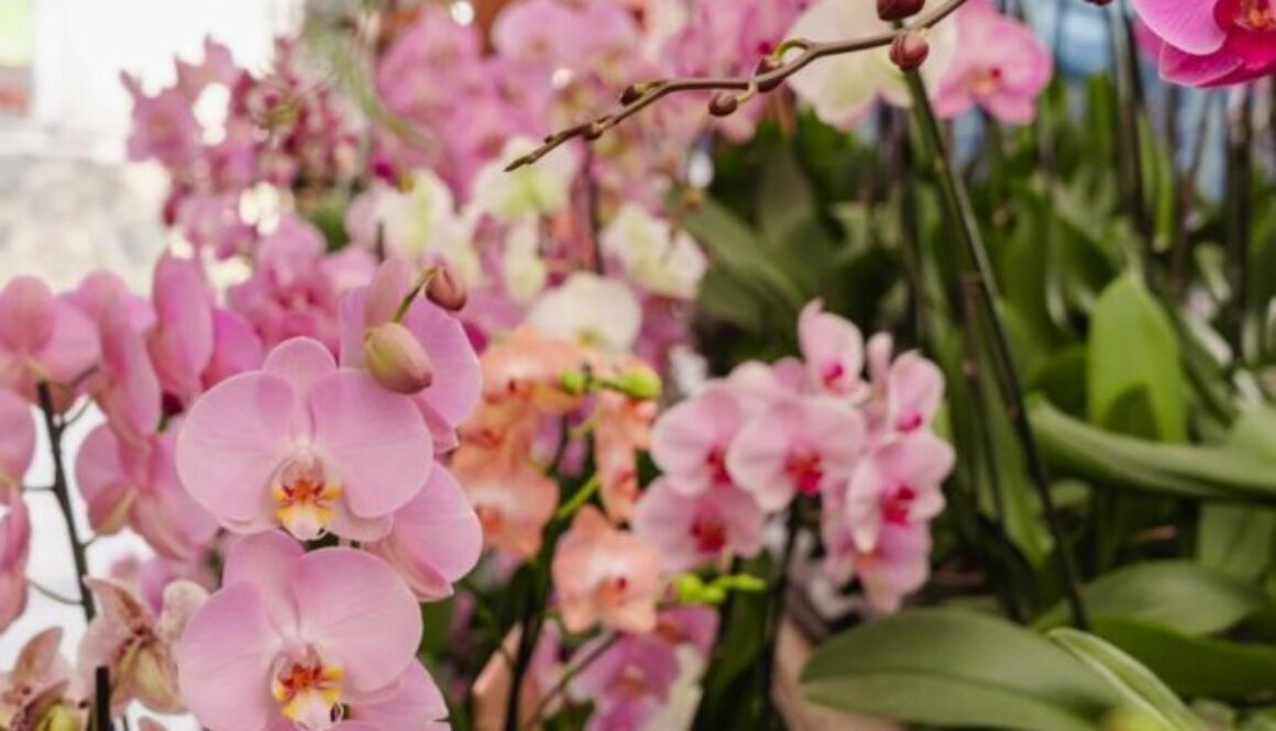 1900ff91-e83e-4da3-ba7f-dca34a9cacd9