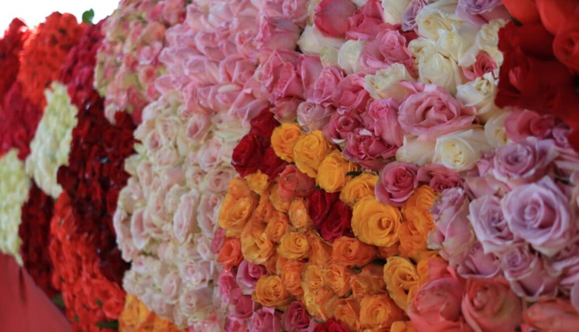 617bcb1c-fab5-40c9-ab62-5c3aff185d6f