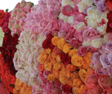 617bcb1c-fab5-40c9-ab62-5c3aff185d6f