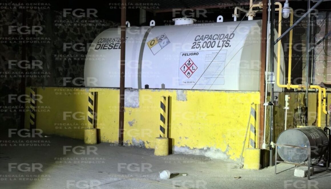 WhatsApp Image 2026-02-09 at 4.40.51 PM