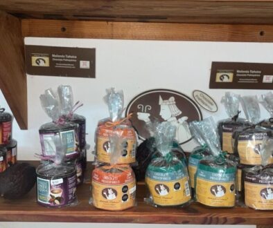 a42e36b6-1b0d-4dd7-b22a-9b8ce1101634