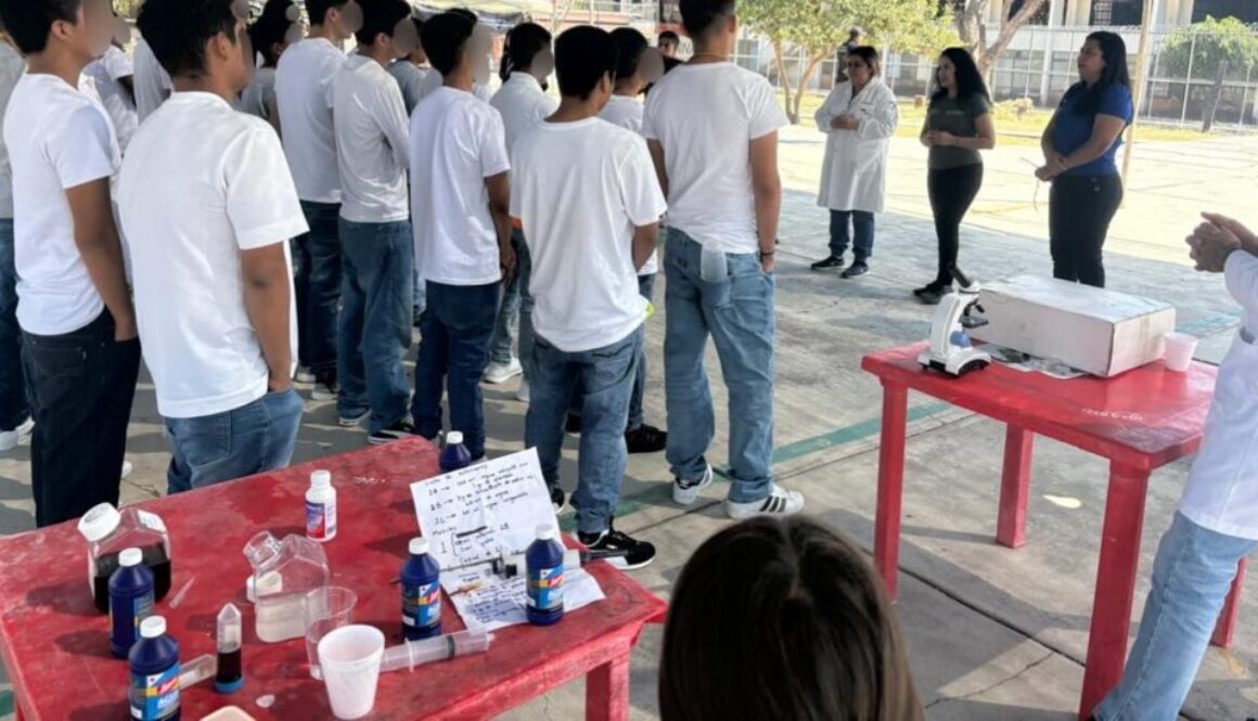 3c7e0ee4-c00d-4be0-847e-e4682eef2a86