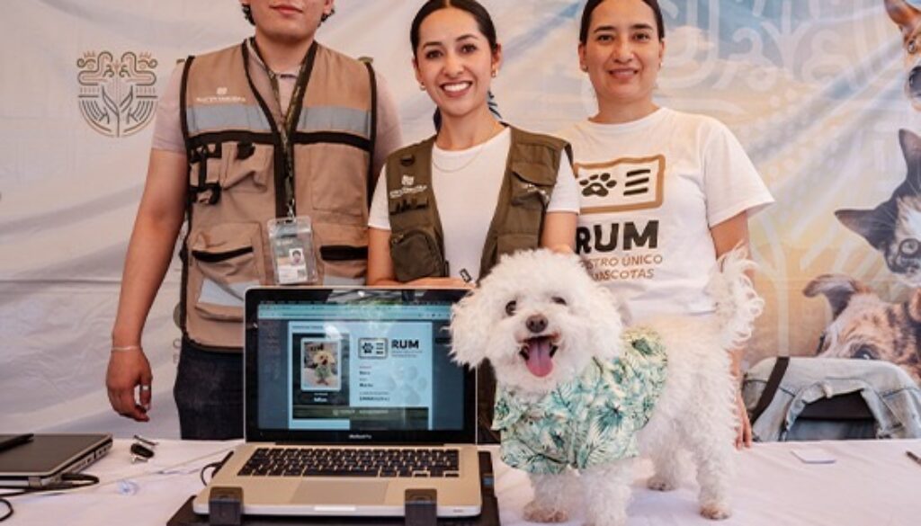 1f3ffb6d-72c8-4ceb-8b23-4334ccce44c7