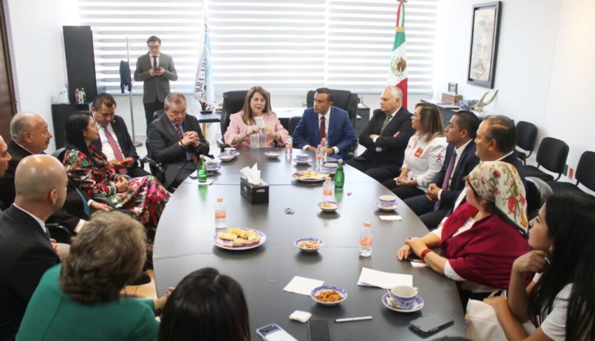 WhatsApp Image 2026-02-11 at 12.35.10 PM