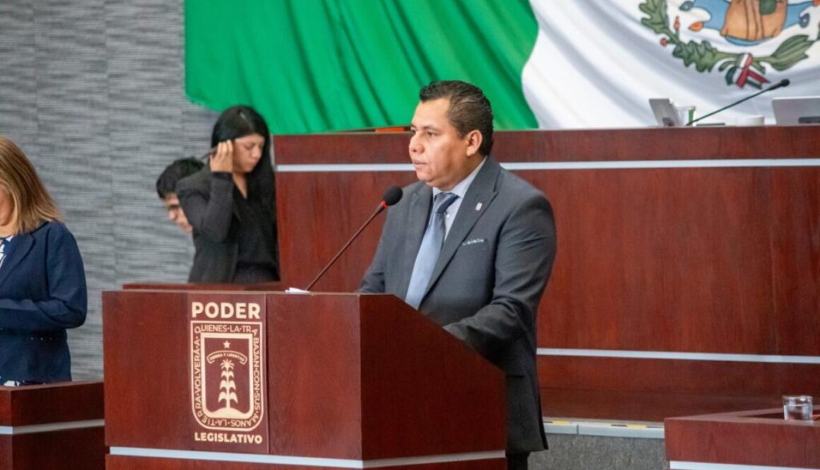 WhatsApp Image 2026-02-12 at 11.27.35 AM