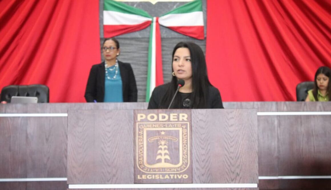 WhatsApp Image 2026-02-12 at 11.55.58 AM