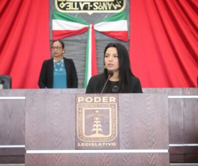 WhatsApp Image 2026-02-12 at 11.55.58 AM