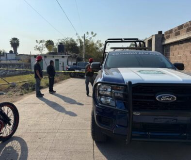 WhatsApp-Image-2026-02-12-at-11.43.33-AM-1