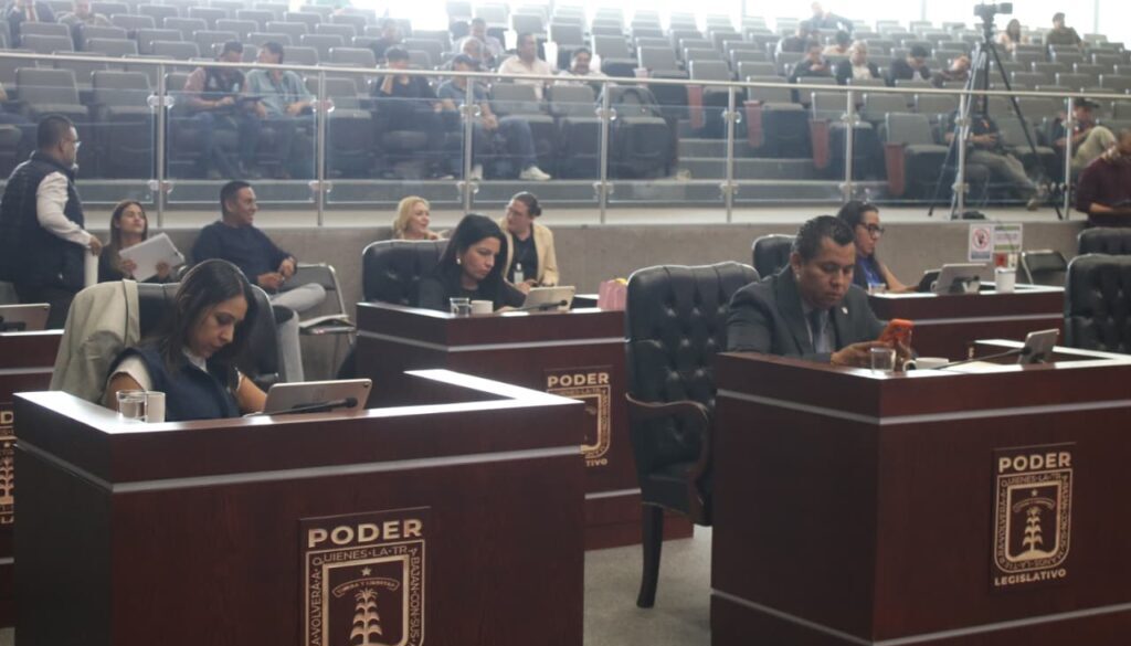 WhatsApp Image 2026-02-12 at 1.36.21 PM