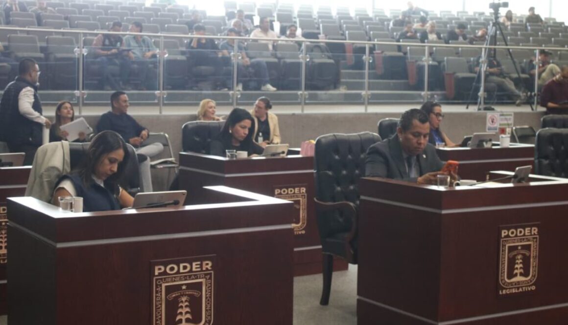 WhatsApp Image 2026-02-12 at 1.36.21 PM