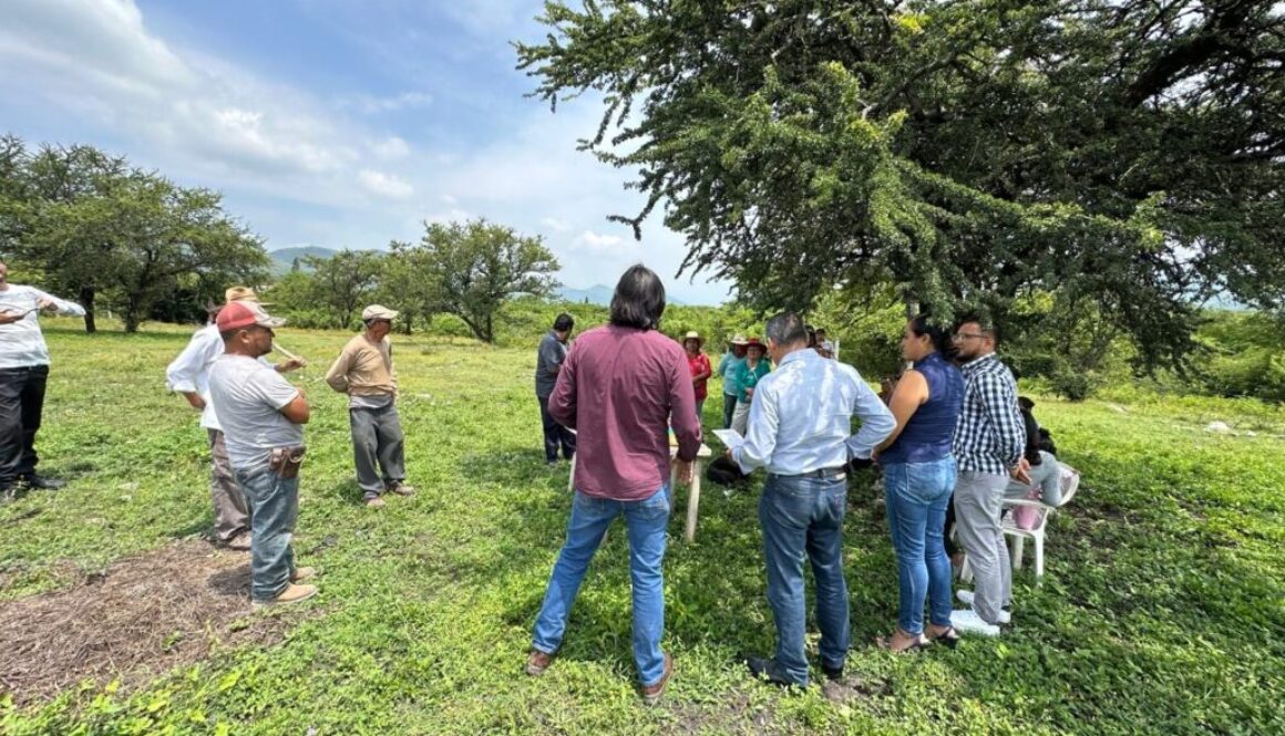 2bb3b3bd-b82a-4ad3-8741-42c2fe4940df