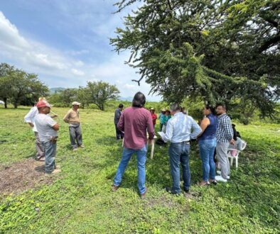 2bb3b3bd-b82a-4ad3-8741-42c2fe4940df