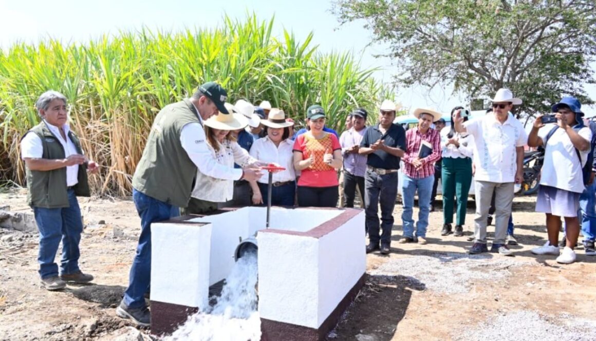 a7a2eedf-f78a-4813-961d-cb4231a1bb0f