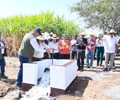 a7a2eedf-f78a-4813-961d-cb4231a1bb0f