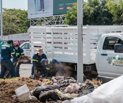 8650ac06-1281-4744-842f-ce511d96e06f