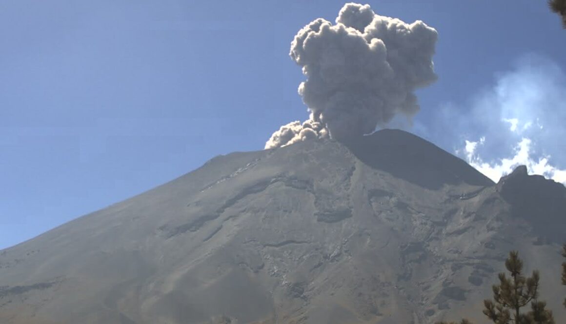 c0bcd8b5-5b99-49d5-8acd-0326acb29ef1