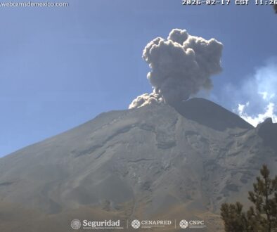 c0bcd8b5-5b99-49d5-8acd-0326acb29ef1