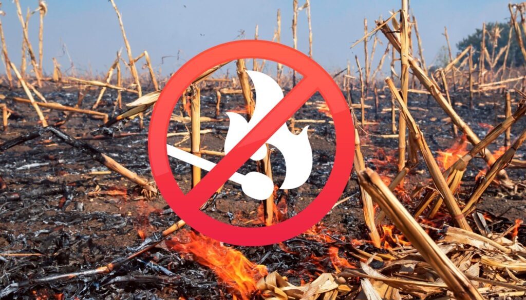 d8599335-d355-49e5-84d2-ccab18fb855b