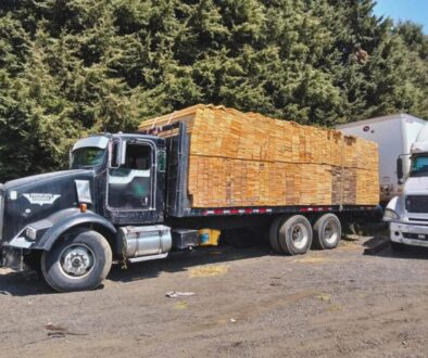 a4568f56-27c2-4f92-9532-9652d6982f80