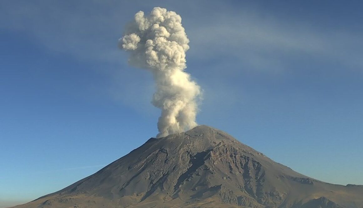 0d68e20c-b6ad-4d8c-b7fd-bb6aa0a91a13