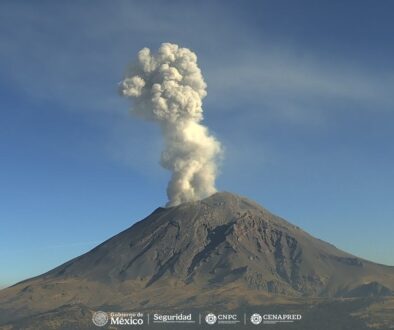 0d68e20c-b6ad-4d8c-b7fd-bb6aa0a91a13