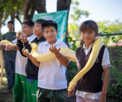 9f05b1b9-9350-478b-9fb5-959295209810