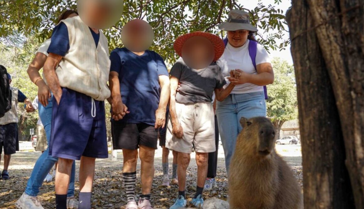 2b4287a5-b7cd-48d0-8795-fbea0e93f6a6