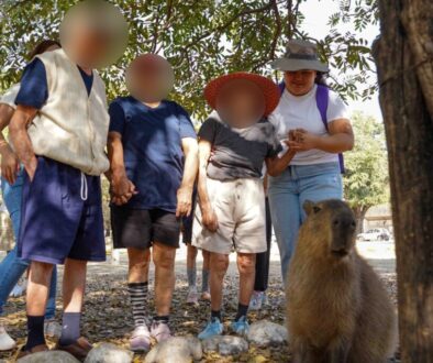 2b4287a5-b7cd-48d0-8795-fbea0e93f6a6