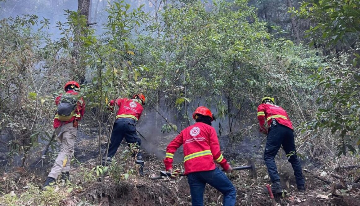 641499782_1371879081621018_1371334378725163581_n