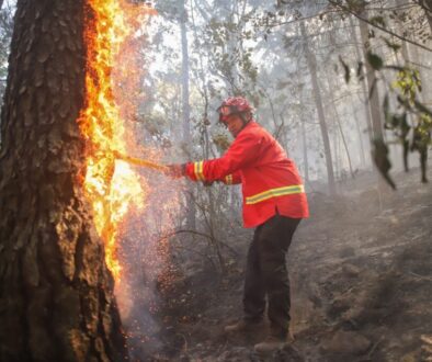 716e5b03-e2c1-42fe-9f1c-090f5055e63d