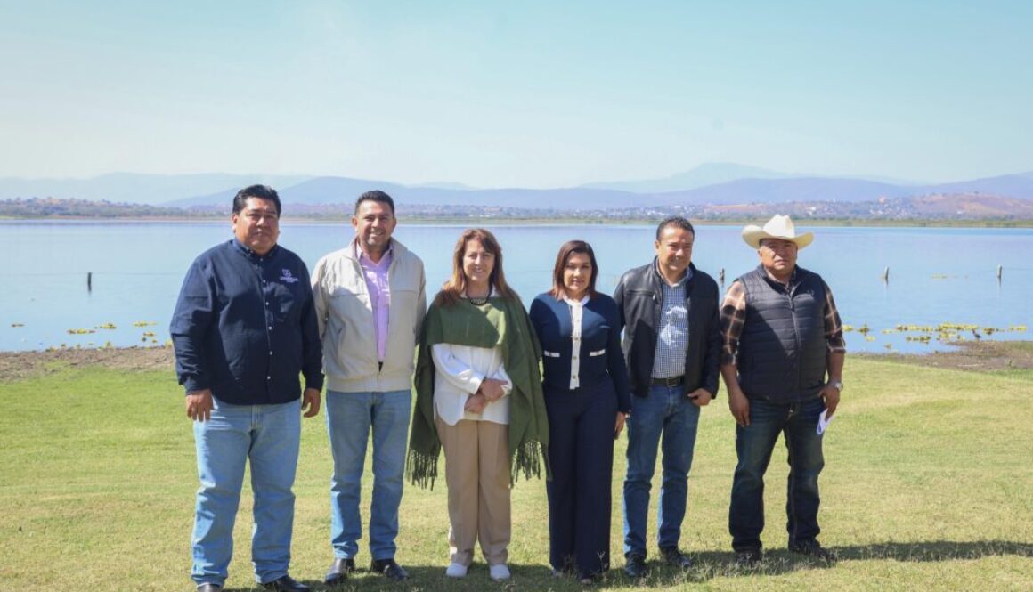 d586203f-ce71-4b1e-8cf1-094f47f17910