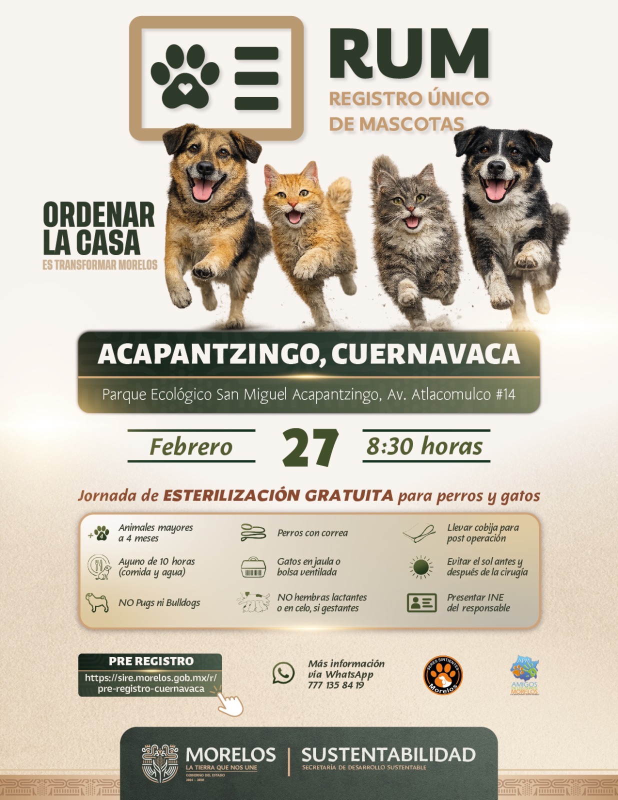CONVOCA SECRETARÍA DE DESARROLLO SUSTENTABLE A JORNADA DE ESTERILIZACIÓN GRATUITA PARA PERROS Y GATOS