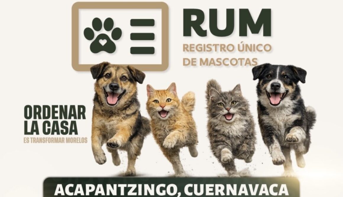 1302a098-0712-46fe-acc9-e1d7f75b184b