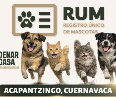 1302a098-0712-46fe-acc9-e1d7f75b184b