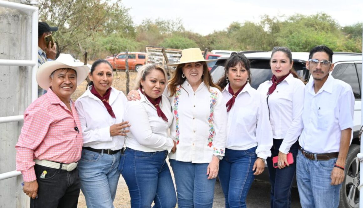 36650e17-654f-4ca8-8640-fbea5b1f2aa5