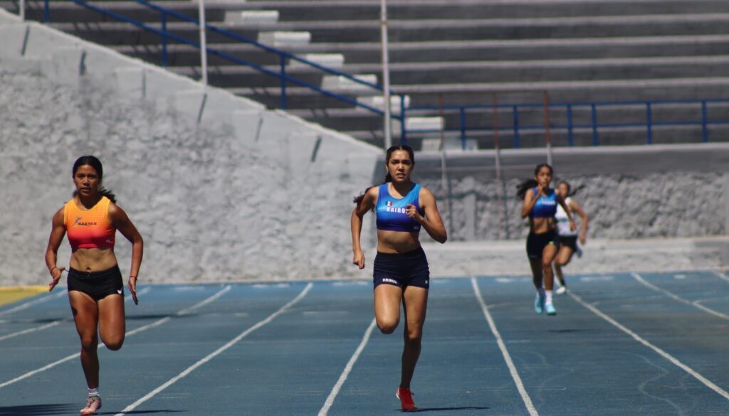 3acdaacf-6d8b-46b2-8dec-df6f8b043833