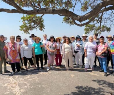 137dda77-4046-4c9f-814f-e18154ccb4a8